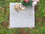 image of grave number 776623